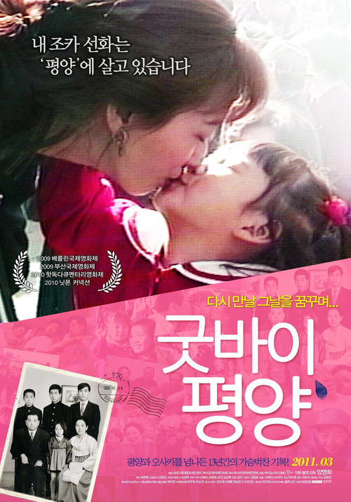 굿바이, 평양 (2010) poster