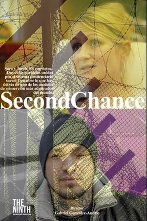 Second Chance (2016) poster