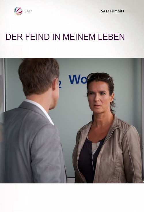 Der Feind in meinem Leben (2013) poster
