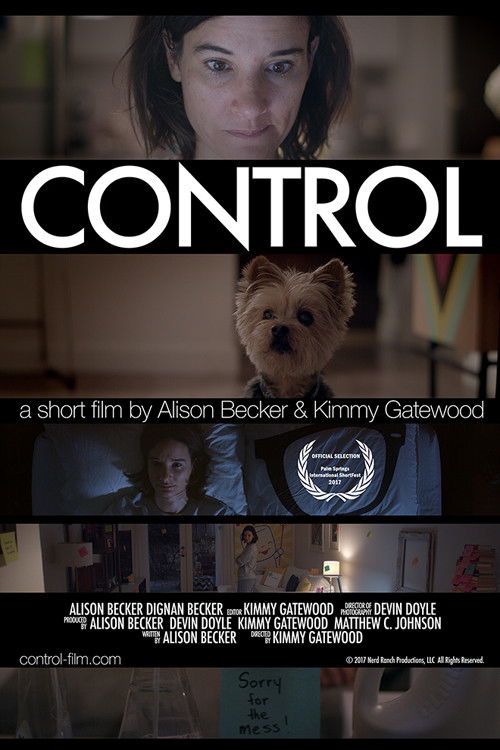 Control (2017) poster