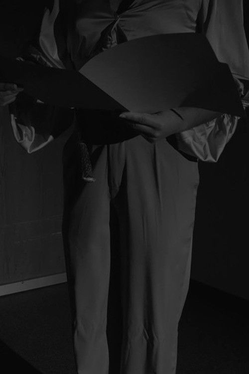 The Horse Head Incident (2024) poster