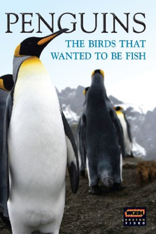Penguins: The Story of the Bird that wanted to be Fish (2008) poster