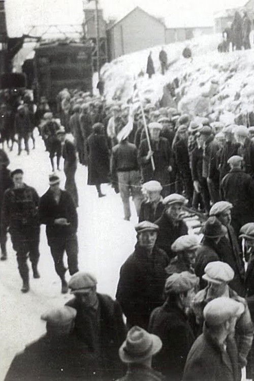 The Finest Kind: A People's History of the Lockeport Lockout, 1939 (1979) poster