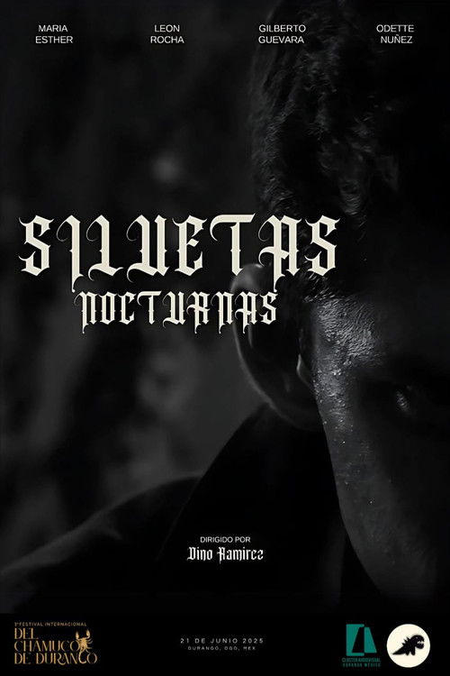 SILUETAS NOCTURNAS poster