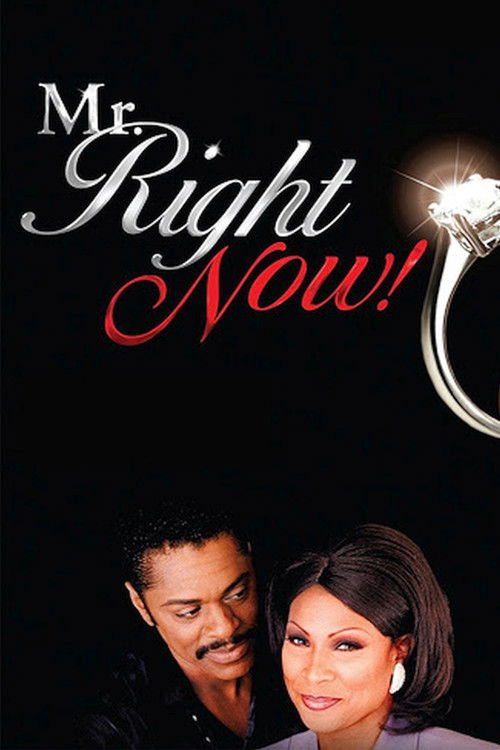 Mr. Right Now! (1999) poster