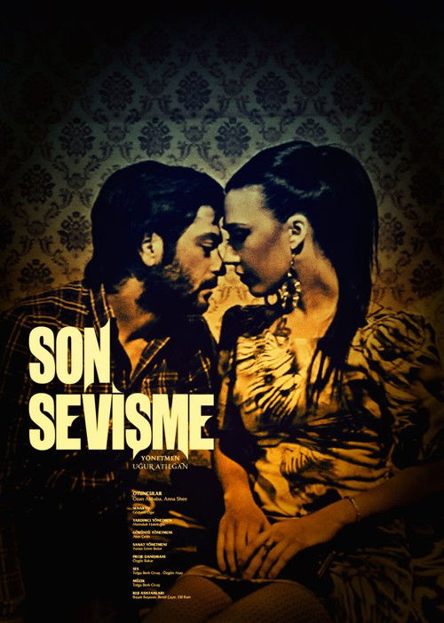 Son Sevişme (2012) poster