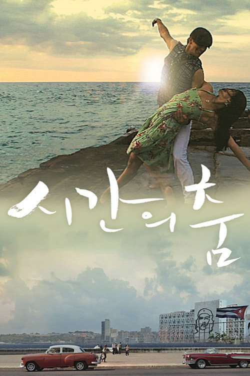 시간의 춤 (2009) poster