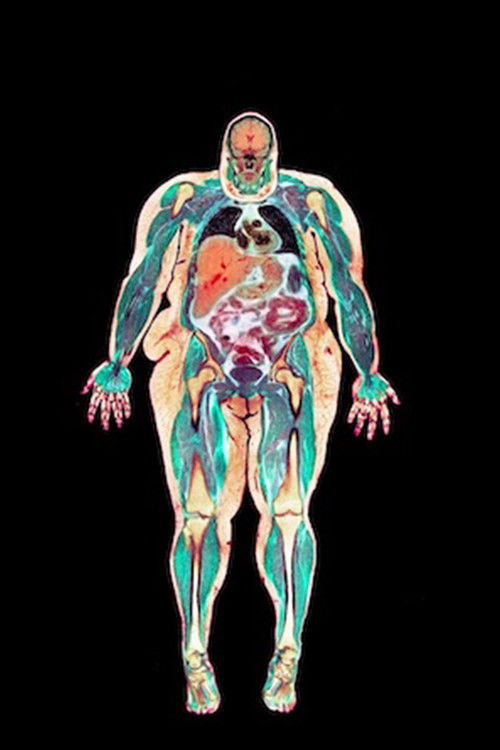 The Seven Stages Of Grief (2020) poster