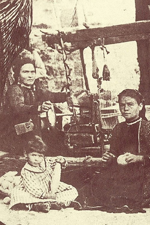 Власи номади (1905) poster
