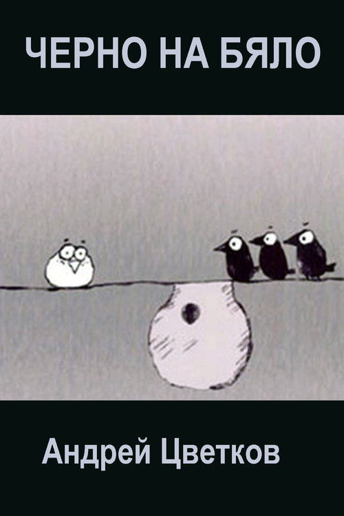 Black on White (2005) poster