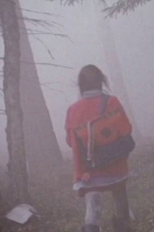 The Girl in the Mist (1997) poster