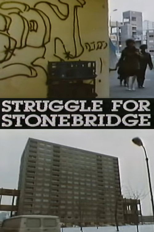 Struggle for Stonebridge (1987) poster