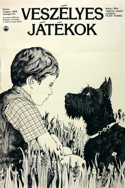 Dangerous Games (1980) poster