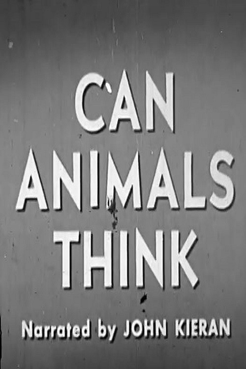 Can Animals Think (1950) poster