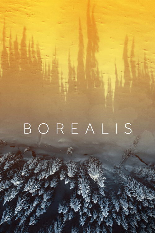 Borealis (2020) poster