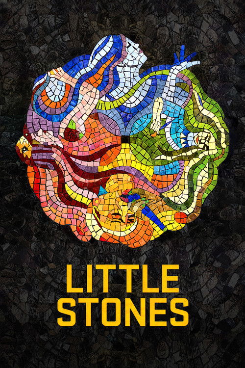 Little Stones (2017) poster