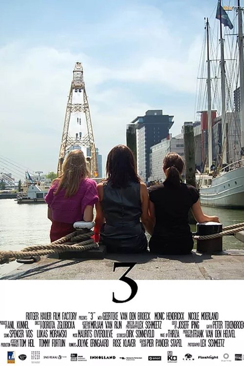3 (2009) poster