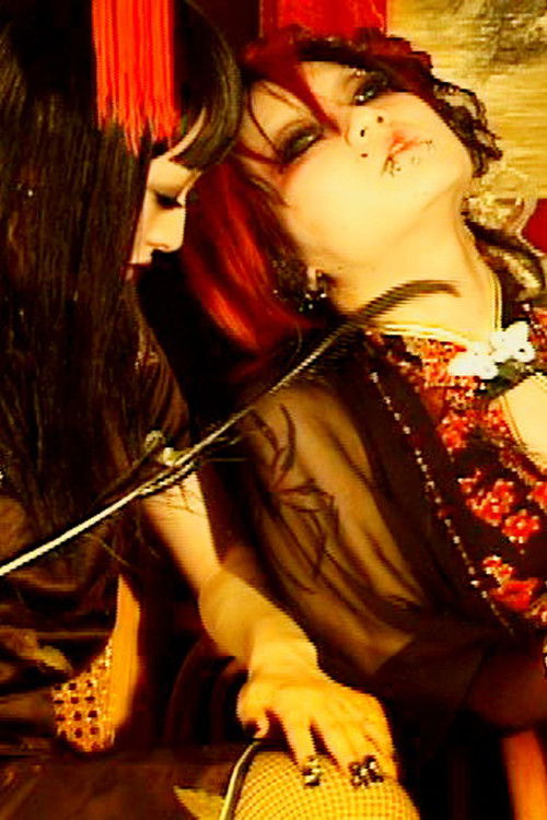 Shanghai Flowers (2008) poster