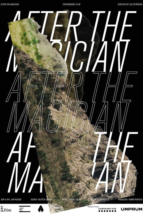 After the Magician (2020) poster