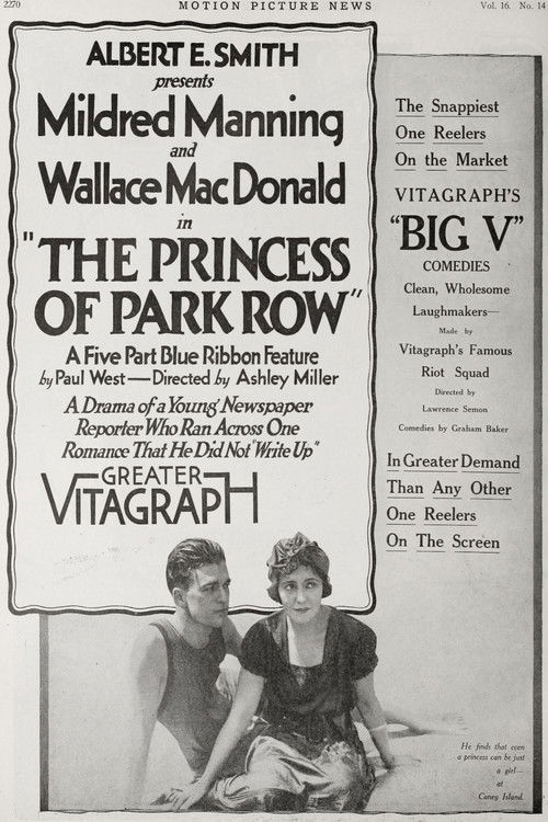 The Princess of Park Row (1917) poster