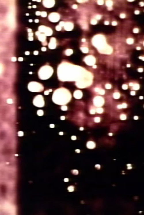 cockroach (2003) poster