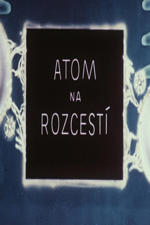 Atom na rozcestí (1947) poster