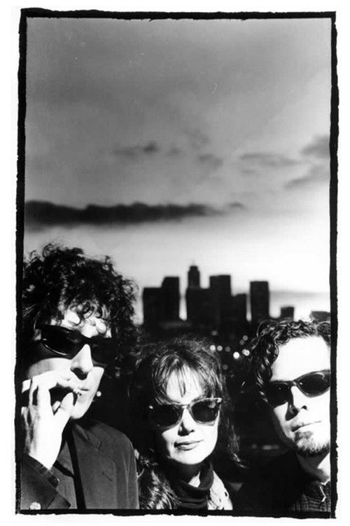 The Drywall Incident (1995) poster