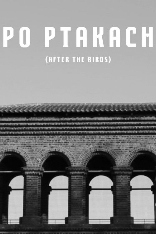 After The Birds (2019) poster