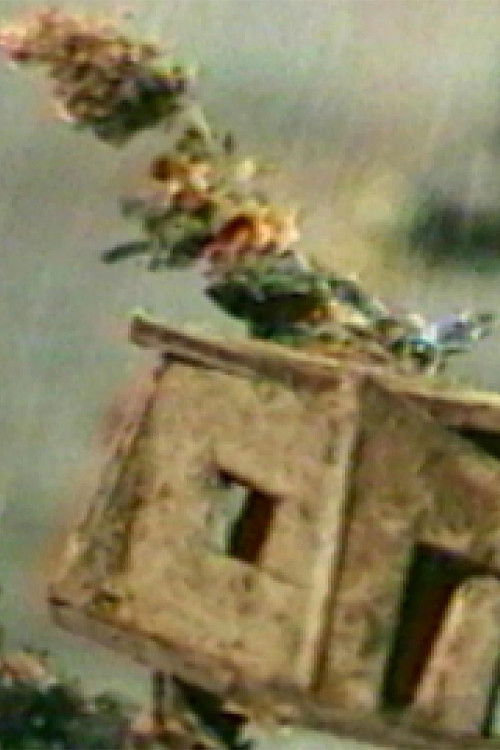 The Hundred Videos #4 (1996) poster