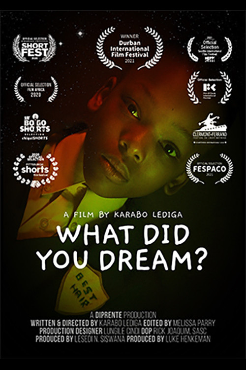 What Did You Dream? (2020) poster