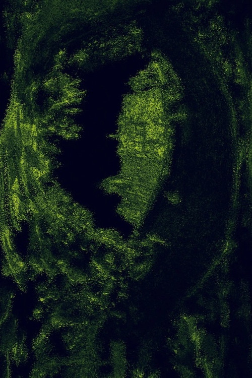 A Letter Found Inside a Mentholatum Little Box (2023) poster