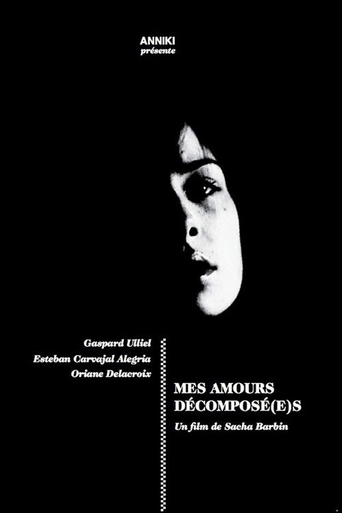 Mes amours décomposé(s) (2012) poster