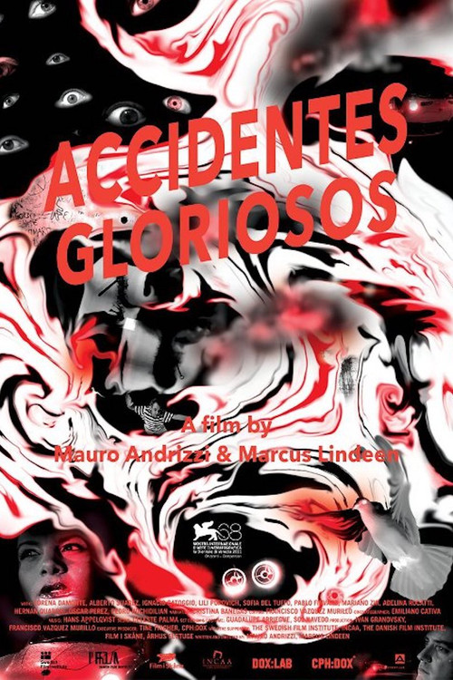 Glorious Accidents (2011) poster