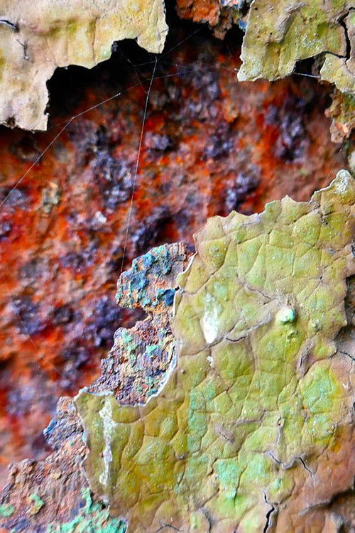 de-composition (2023) poster