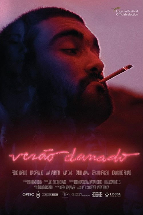 Verão Danado (2017) poster