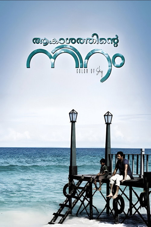 ആകാശത്തിന്‍റെ നിറം (2012) poster