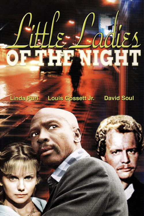 Little Ladies of the Night (1977) poster