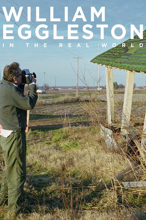 William Eggleston in the Real World (2005) poster
