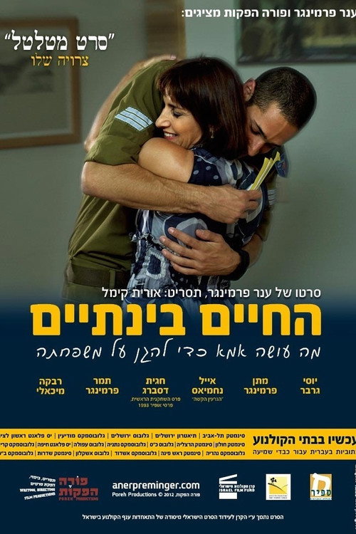 החיים בינתיים poster