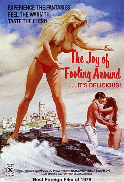 The Joy of Fooling Around (1978) poster