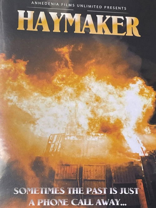 Haymaker (2022) poster