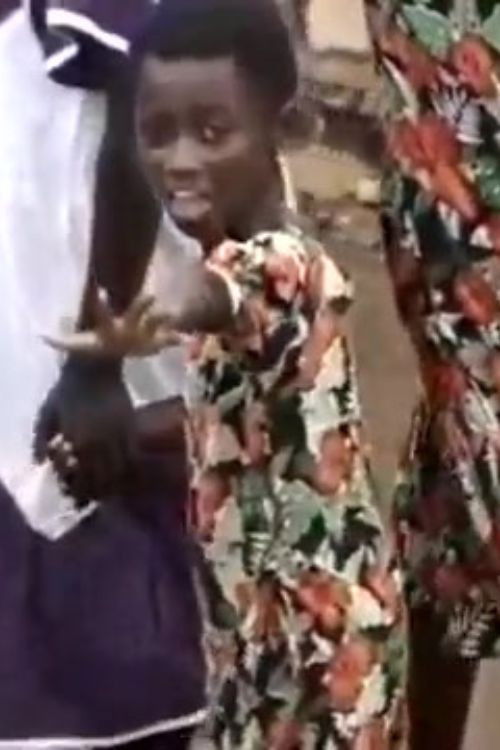 Passing Girl, Riverside: an Essay on Camera Work (1998) poster