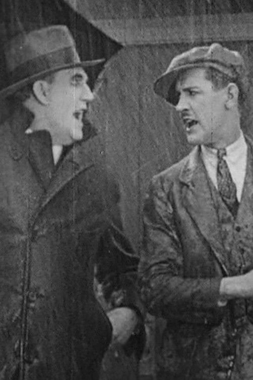 Accidental Accidents (1924) poster