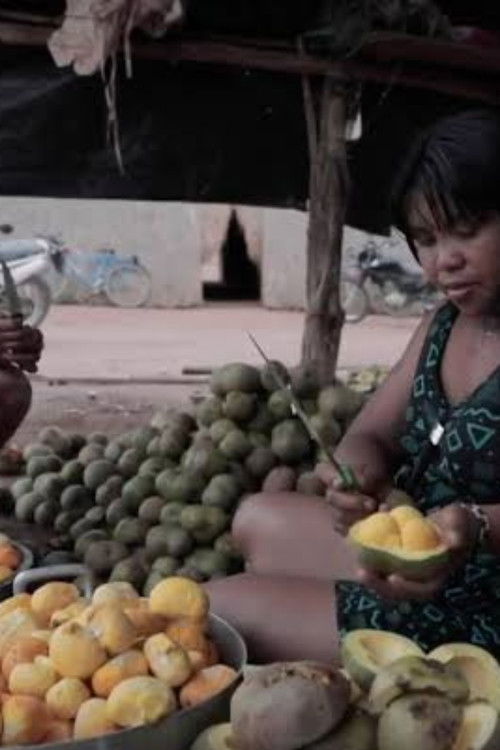 Território Pequi (2021) poster