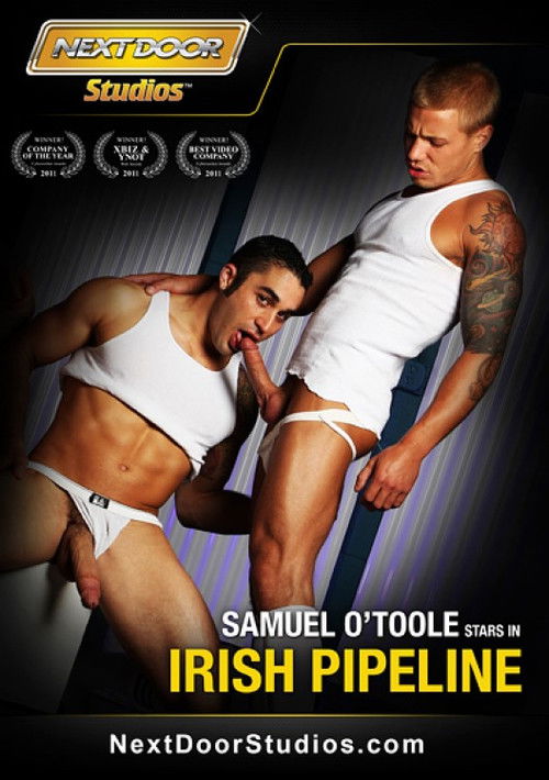 Irish Pipeline (2012) poster