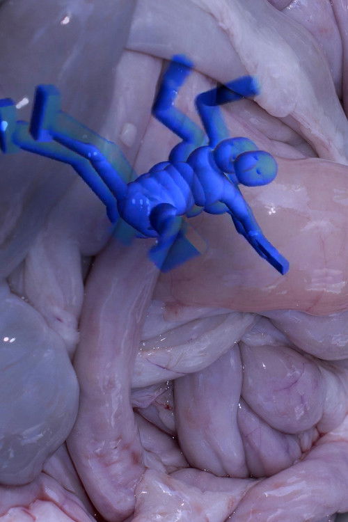 Poor Magic (2017) poster