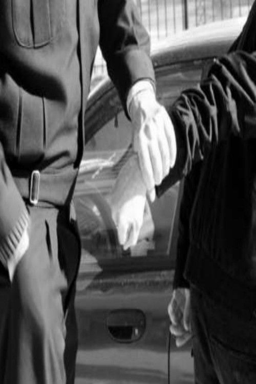 Crossing the line (2013) poster