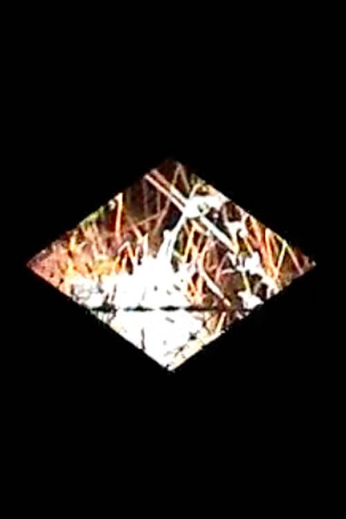 Diamondback (2008) poster