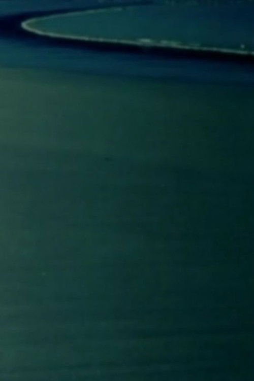 In A Year With 13 Deaths (2008) poster