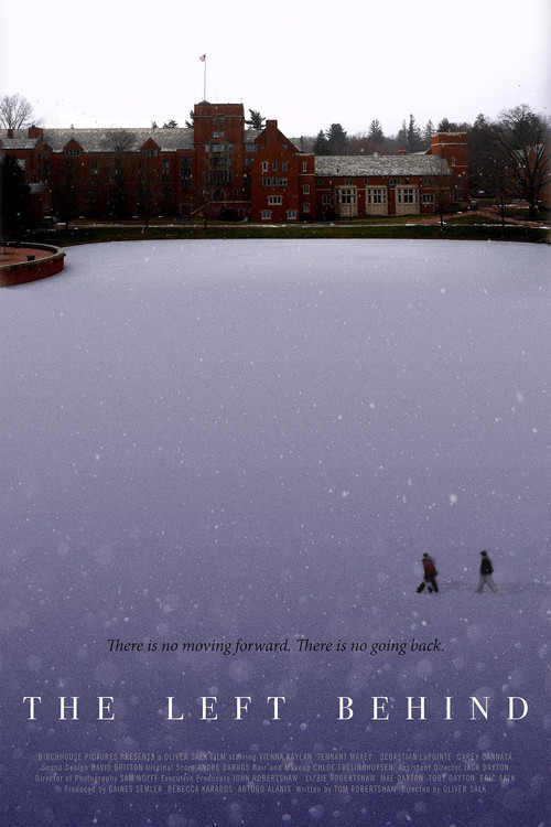 The Left Behind (2016) poster